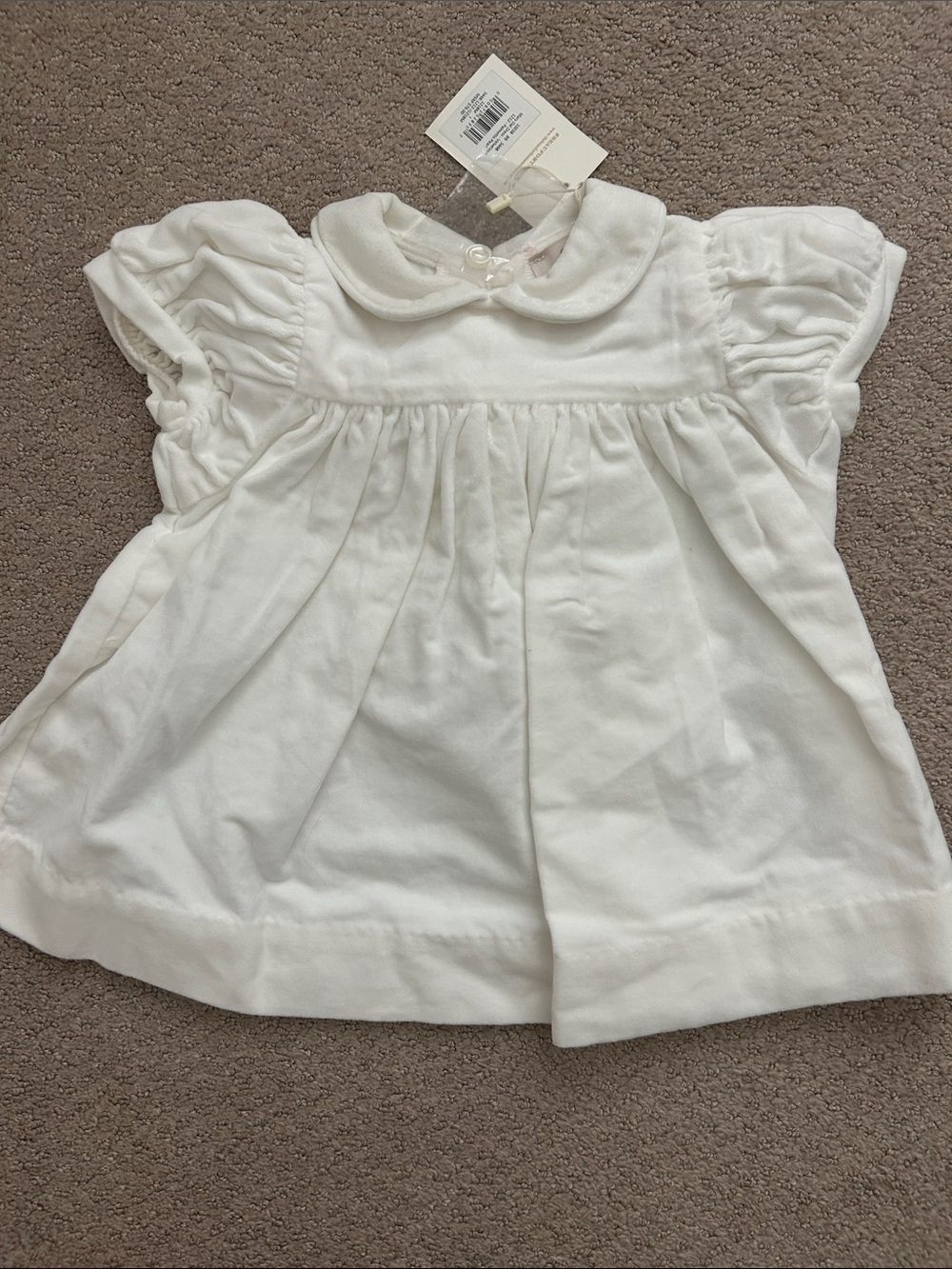 NWT Beaufort Bonnet Company Mary Del Dress in Pearl Velveteen